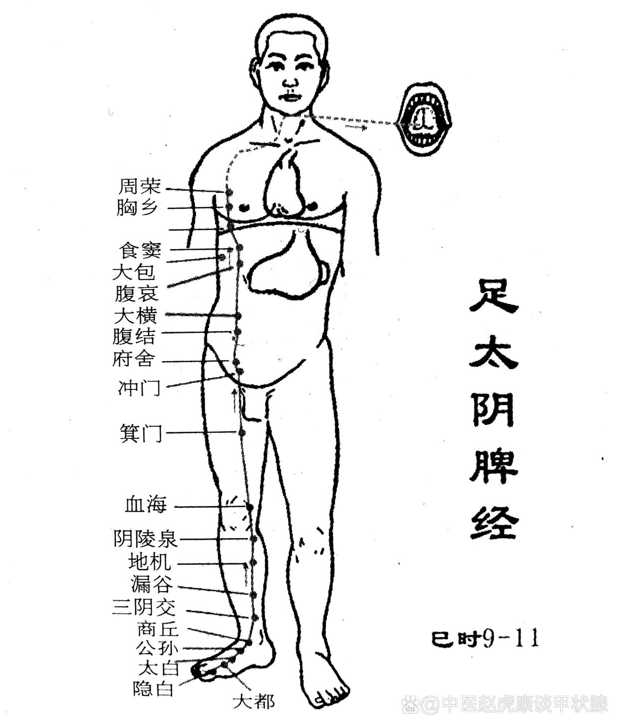 314e251f95cad1c8d2c200a354e13707c83d5122.jpeg