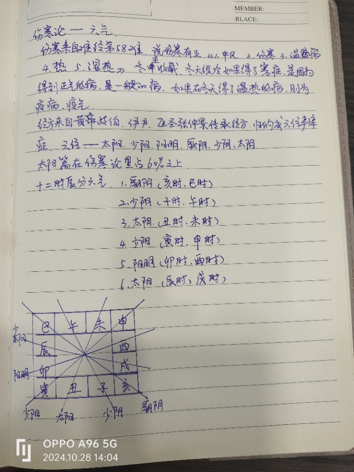 1730095444258.jpg