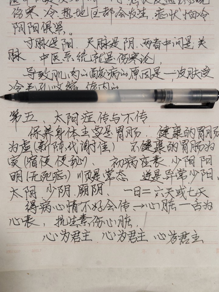 1730465541037.jpg