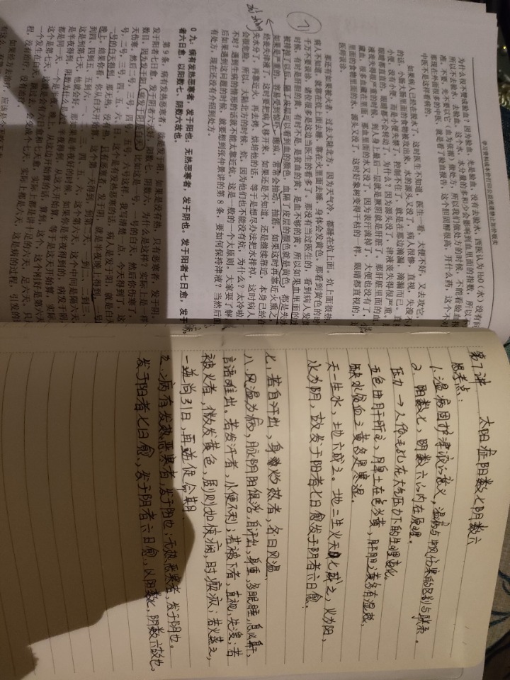 1730731062353.jpg