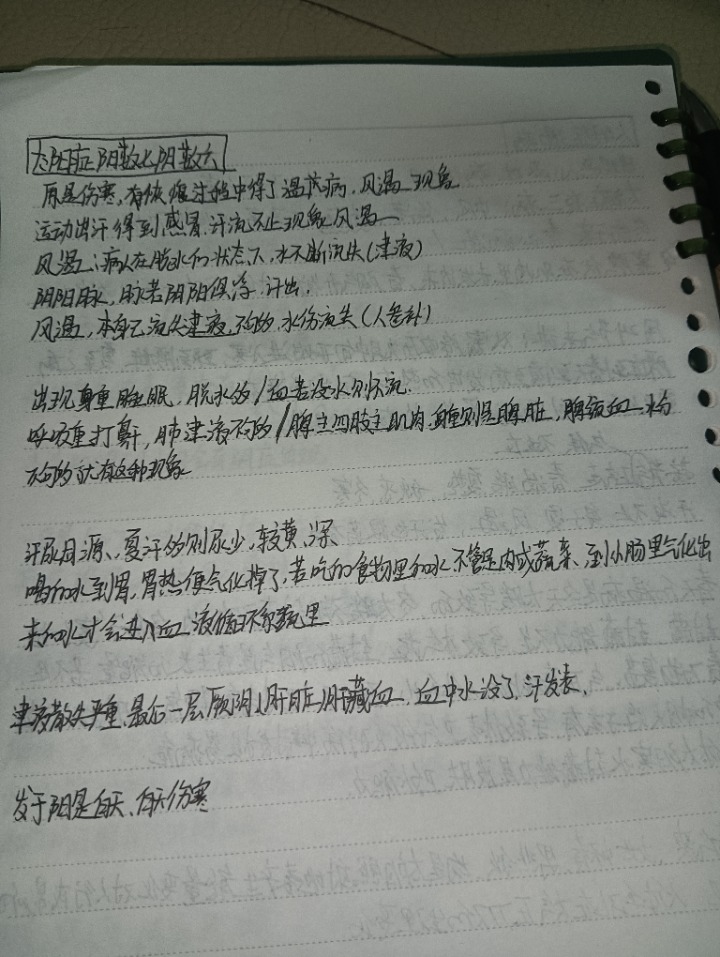 1730731614479.jpg