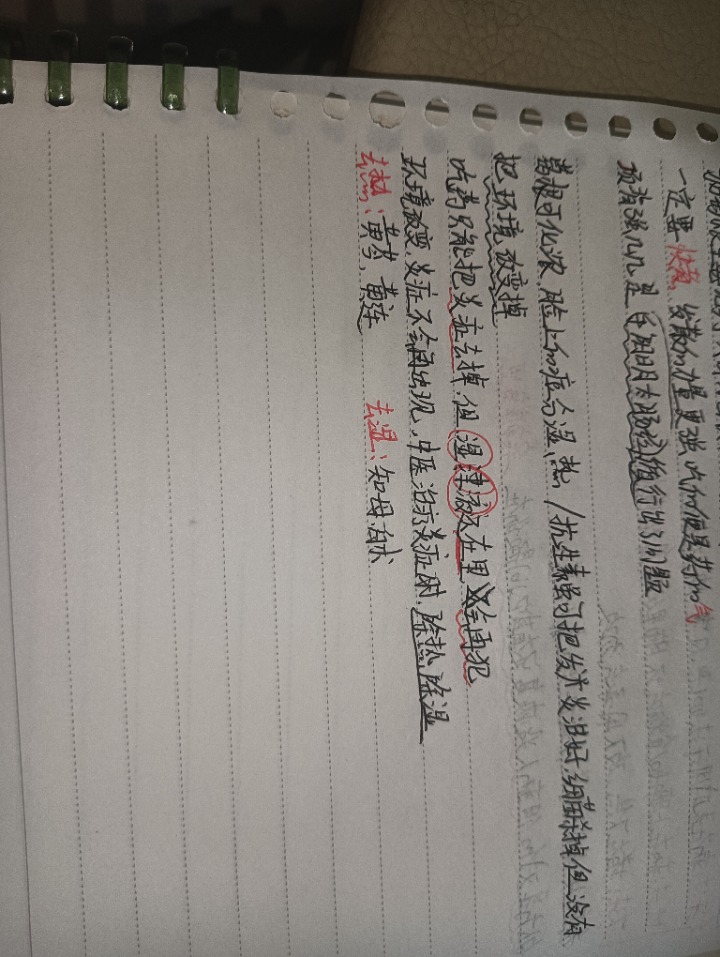 1731286058816.jpg
