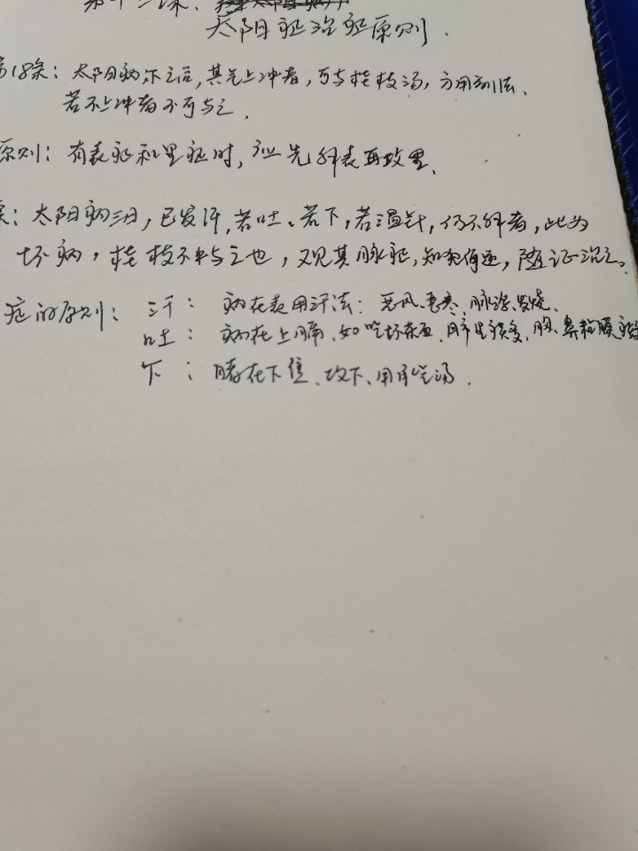 1731312702108.jpg