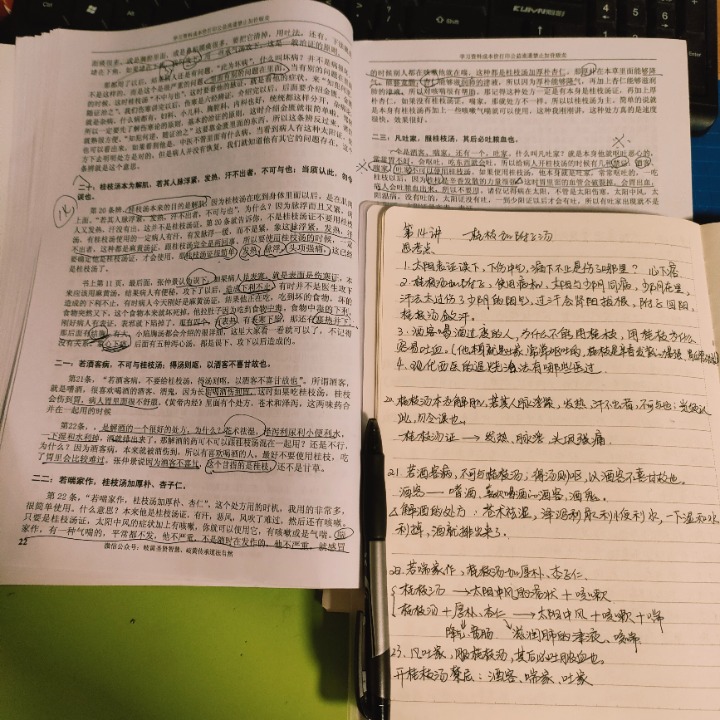 IMG20241112220535.jpg