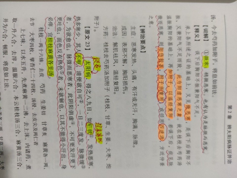 1731501691440.jpg
