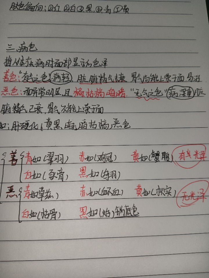 1731725667292.jpg