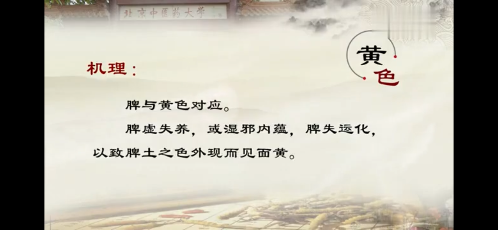 IMG_8376.png