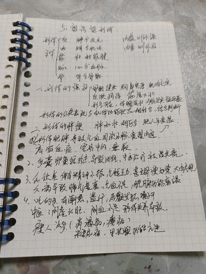 1731935135117.jpg