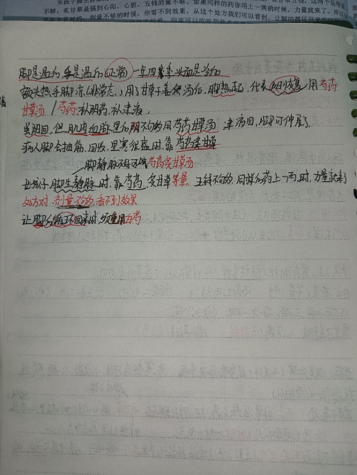 1732029182473.jpg