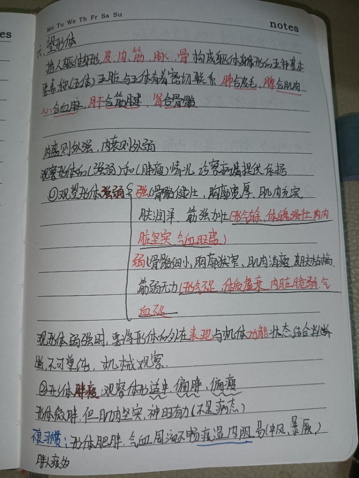 1732032002082.jpg