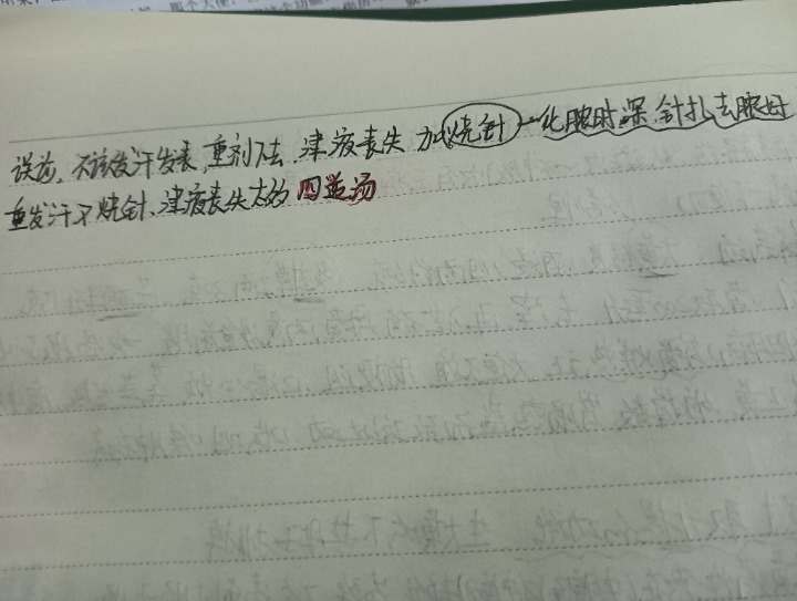 1732176618821.jpg