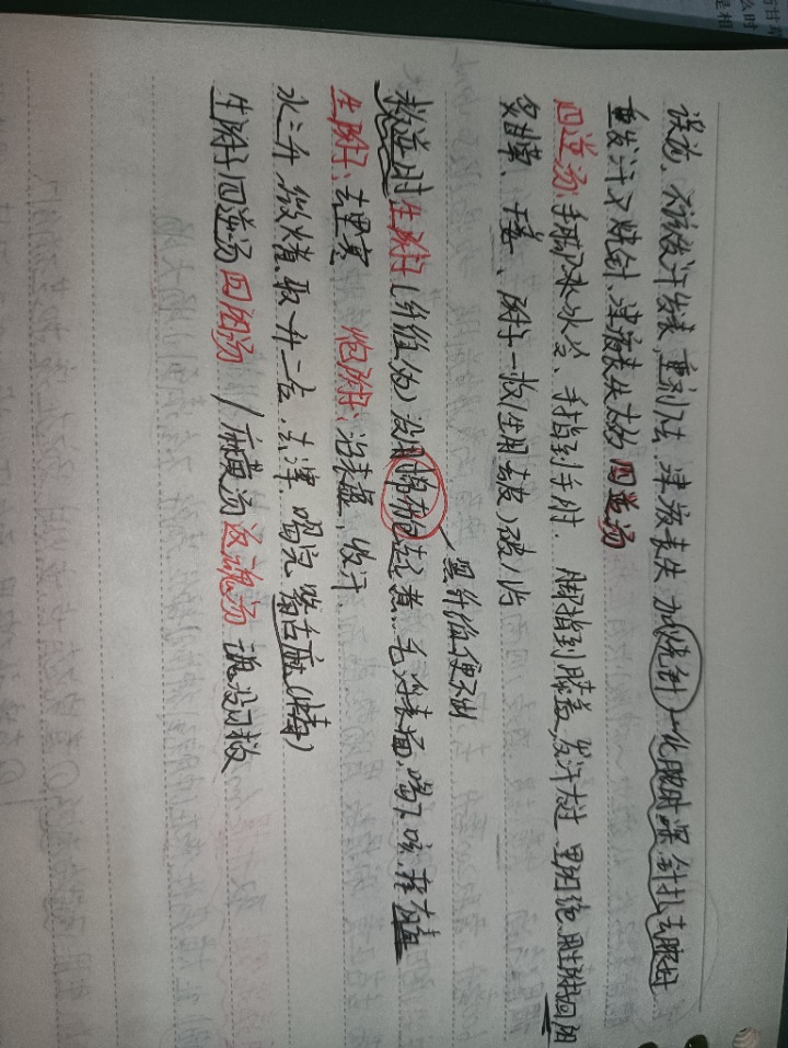 1732290115361.jpg