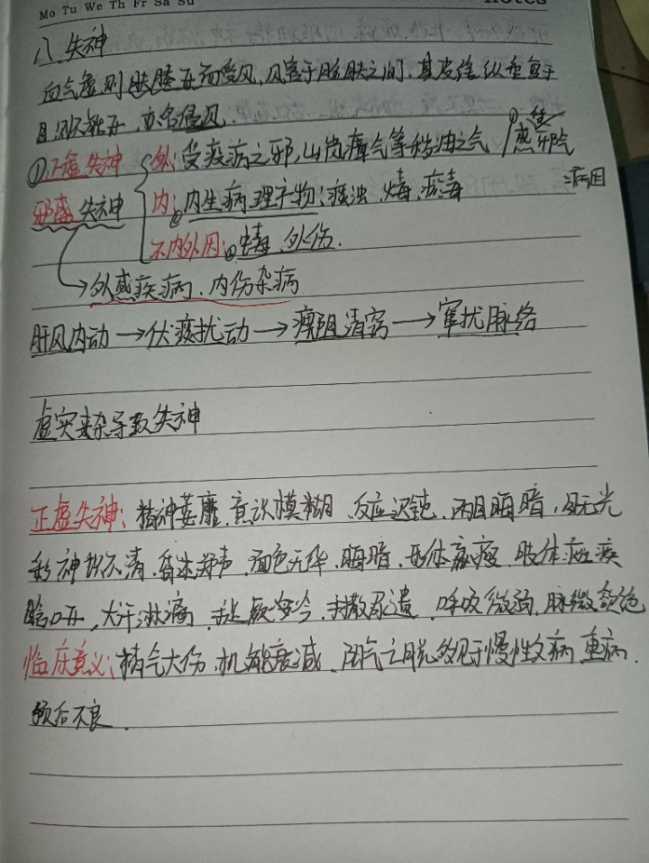 1732376498662.jpg