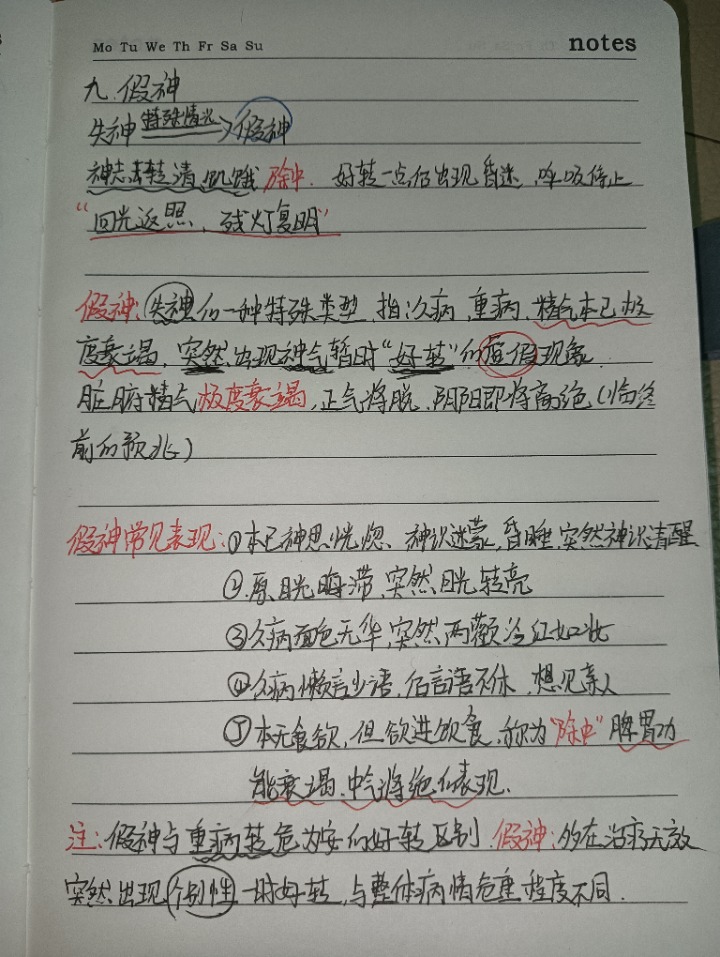 1732461864029.jpg