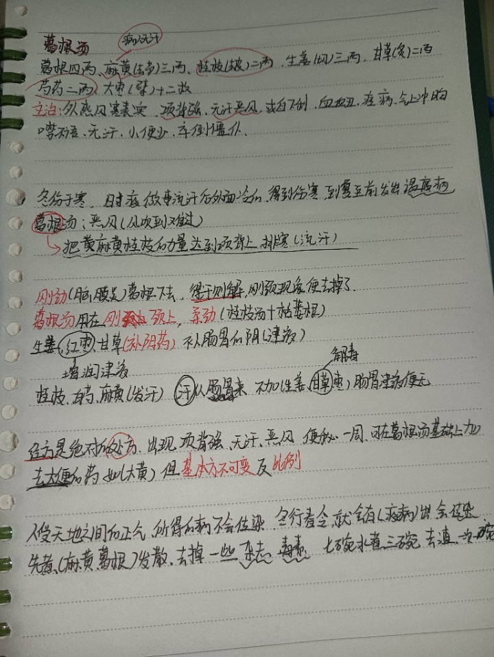 1732547384667.jpg