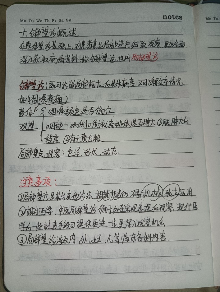1732548668967.jpg