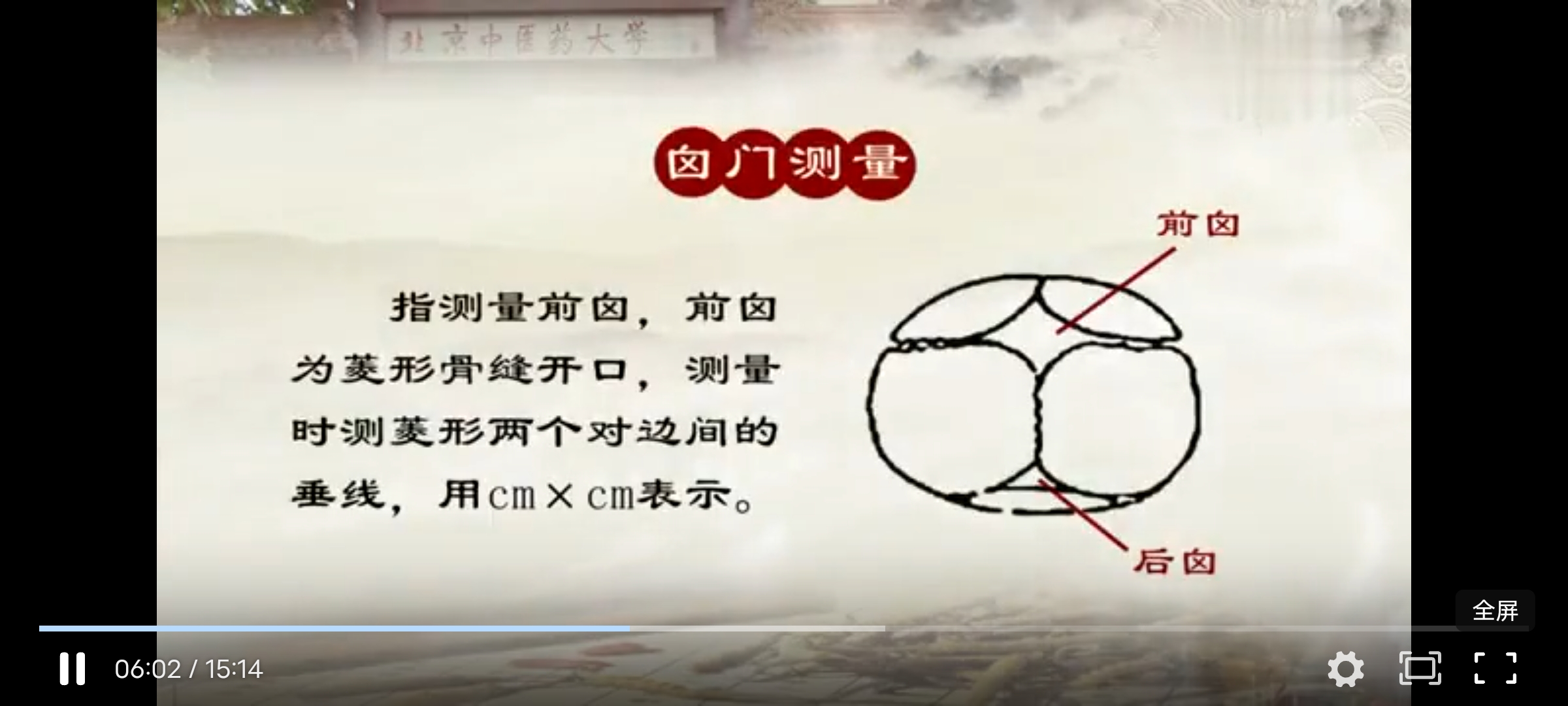 Screenshot_20241126_205828.jpg