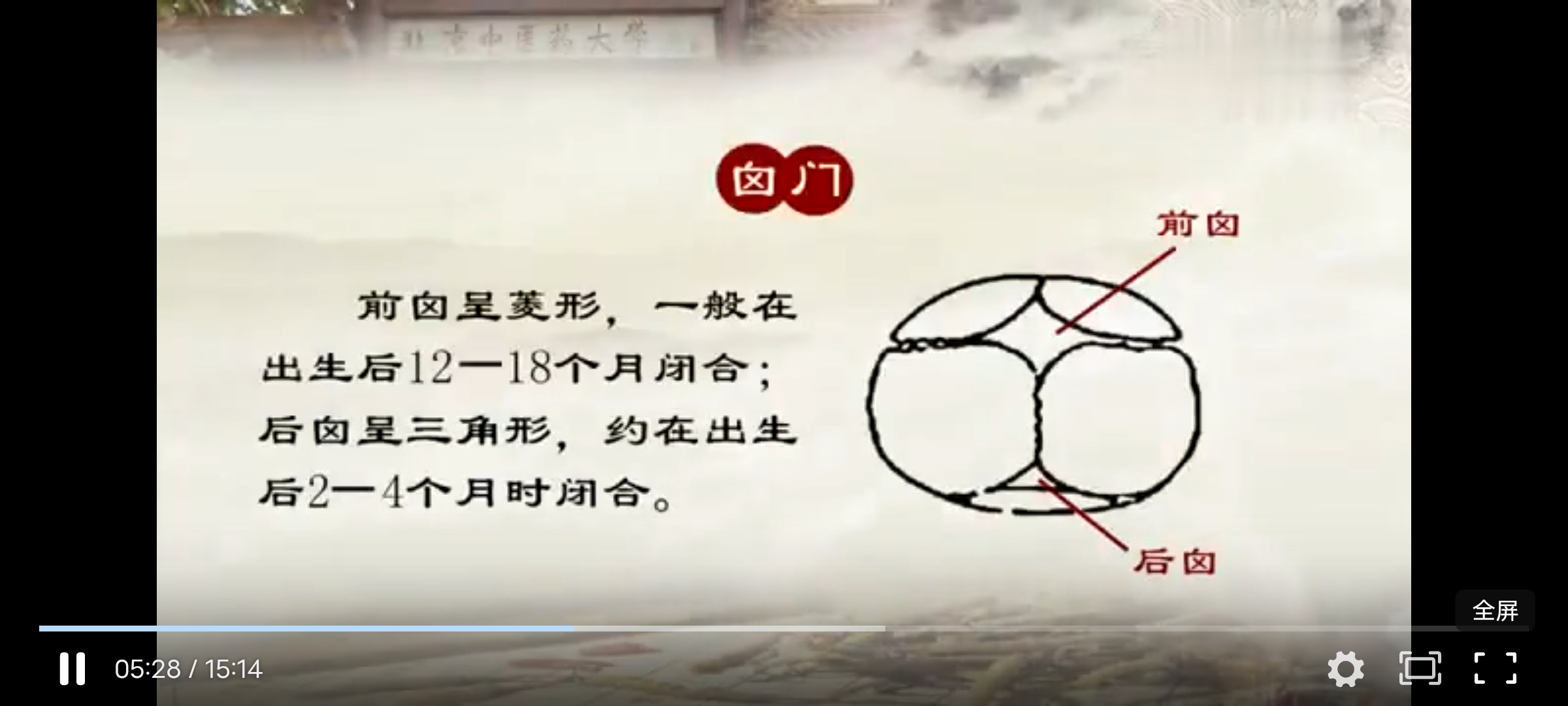 Screenshot_20241126_205754.jpg