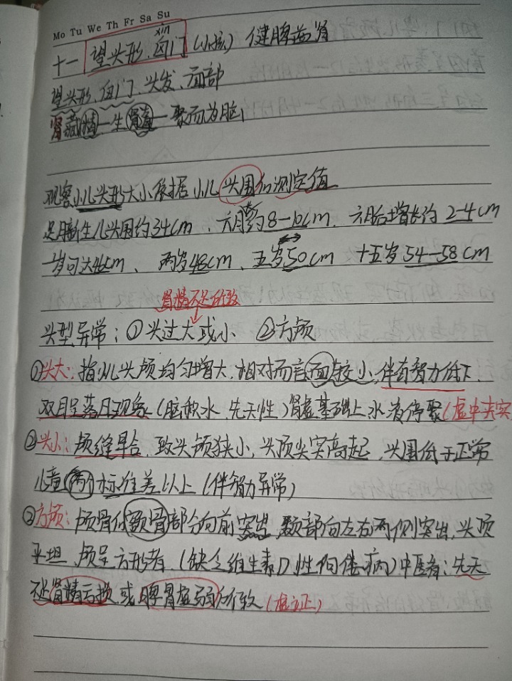 1732723715460.jpg