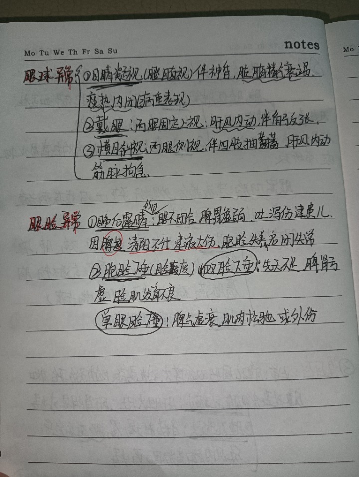 1732896011681.jpg