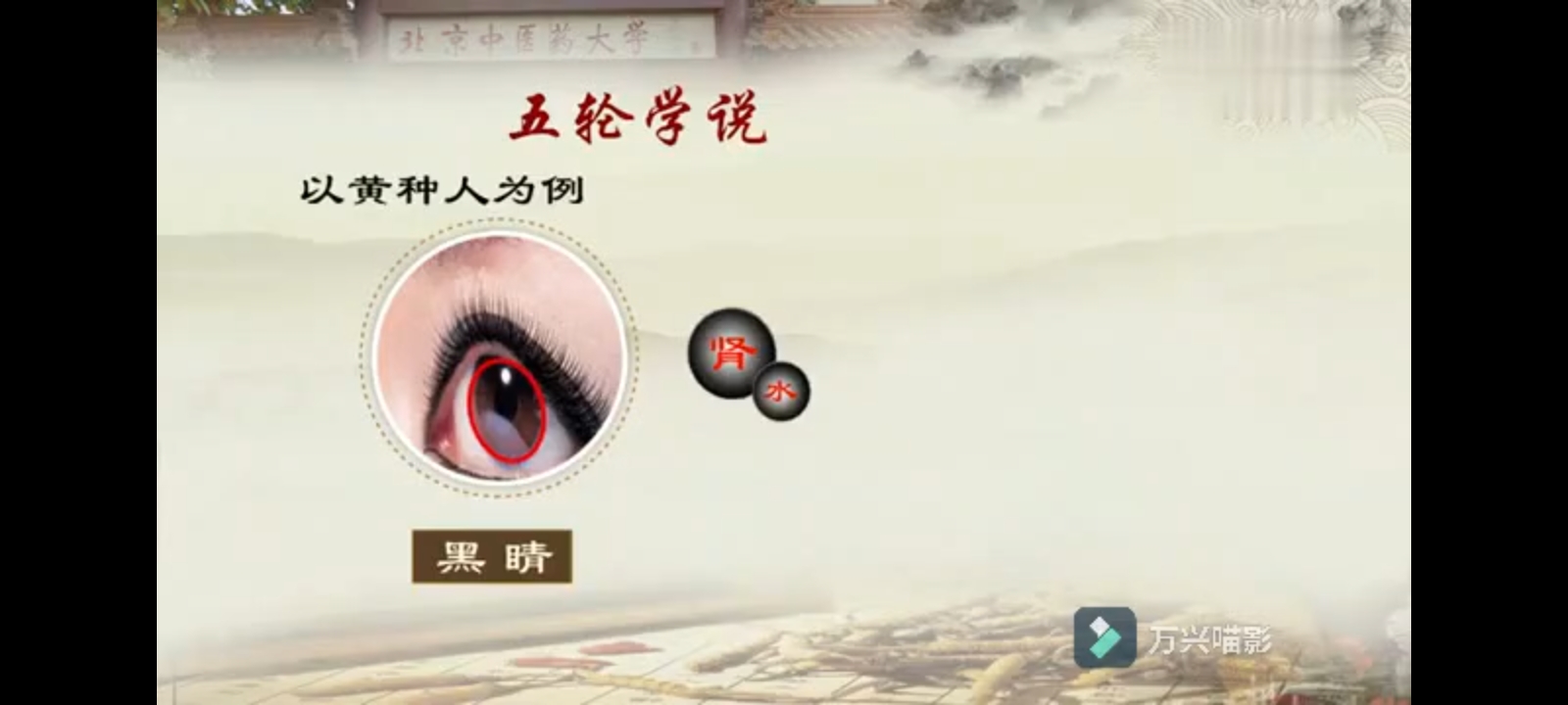 Screenshot_2024-12-02-08-37-19-41_e39d2c7de19156b0683cd93e8735f348.jpg