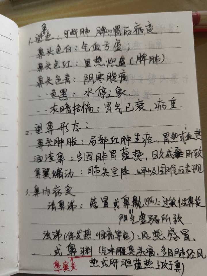 1733117308802.jpg