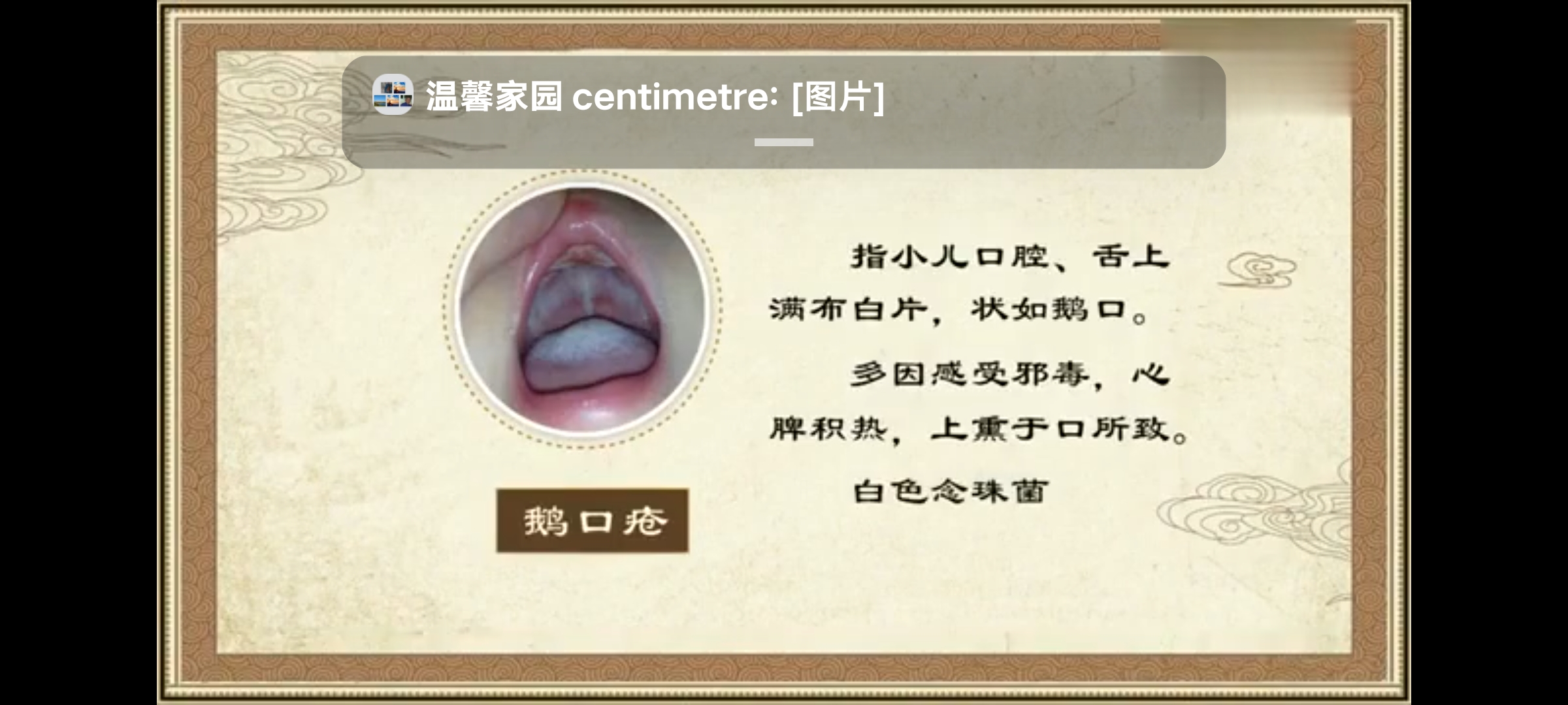 Screenshot_20241203_210859.jpg