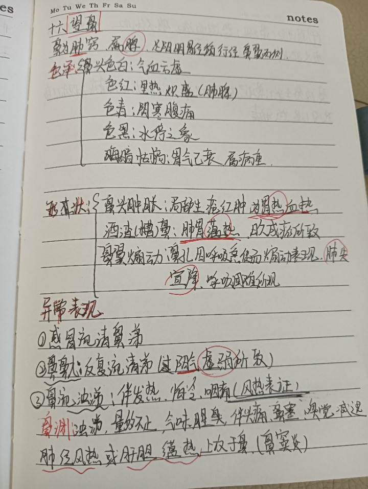 1733282095635.jpg