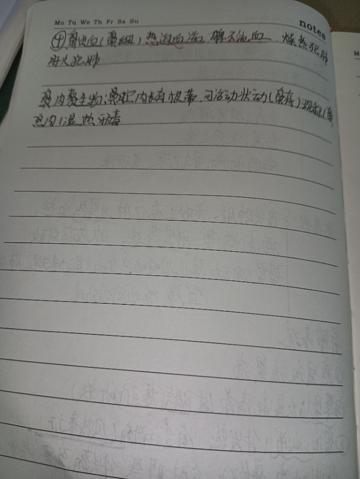 1733282108496.jpg