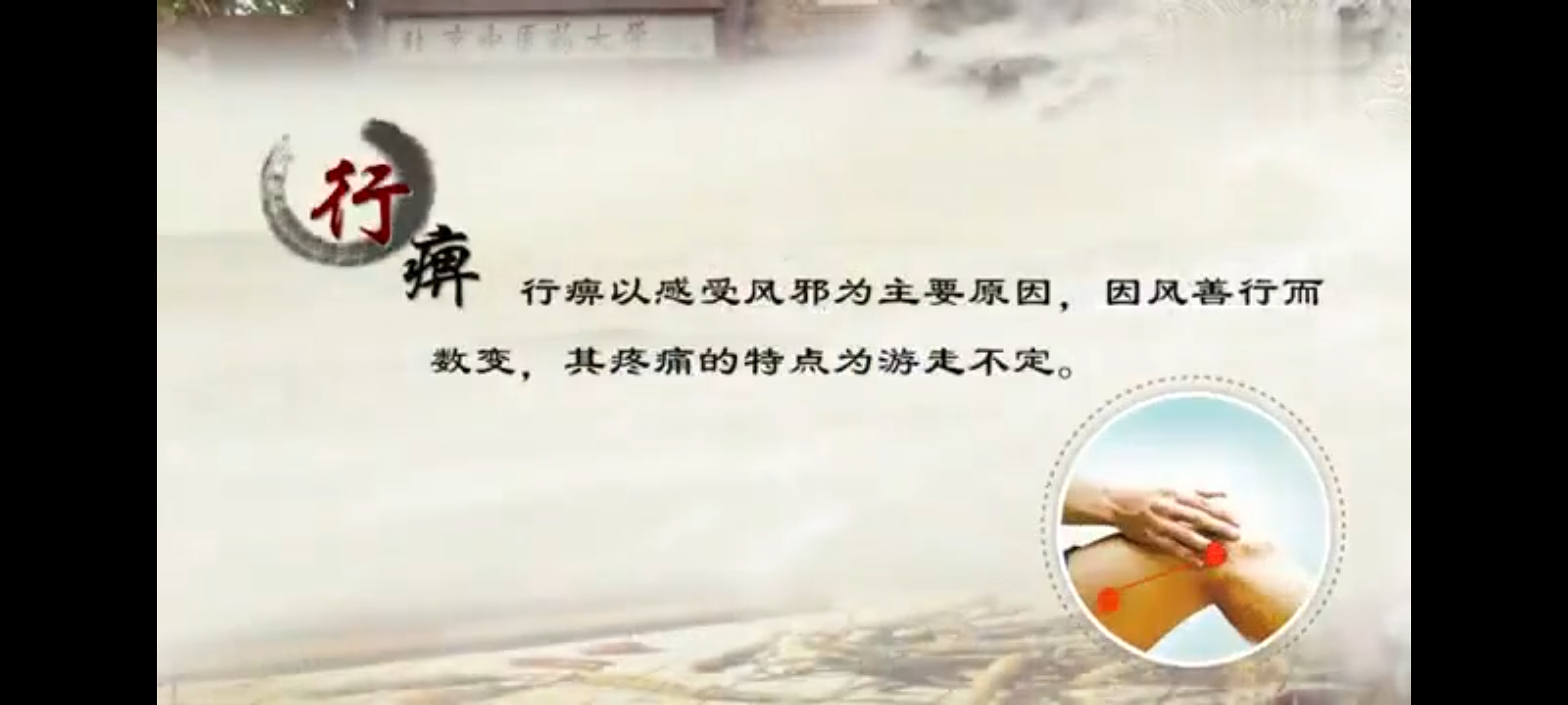 Screenshot_20241207_173715.jpg