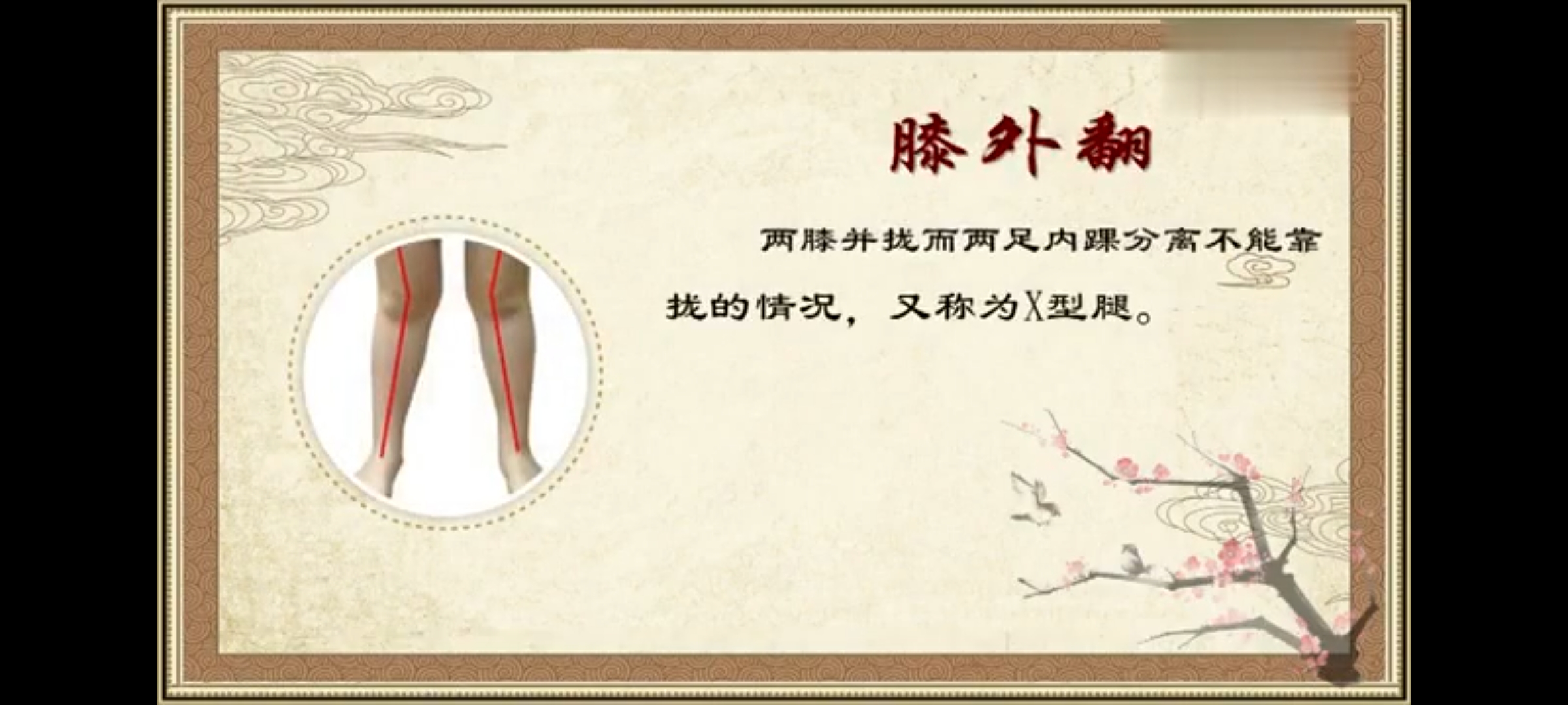 Screenshot_20241207_174145.jpg
