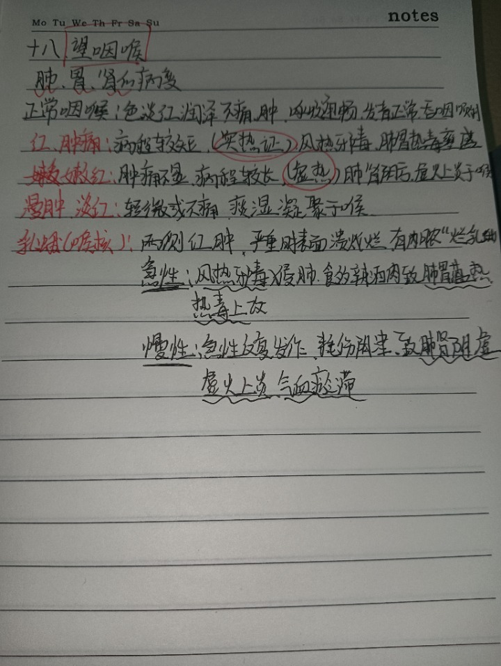 1733580752482.jpg