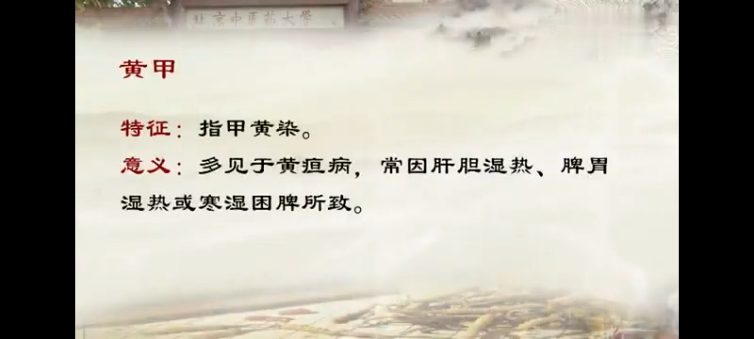 Screenshot_20241210_231418.jpg