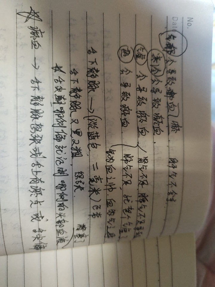 1737077201041.jpg