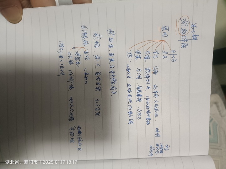 1737109040907.jpg