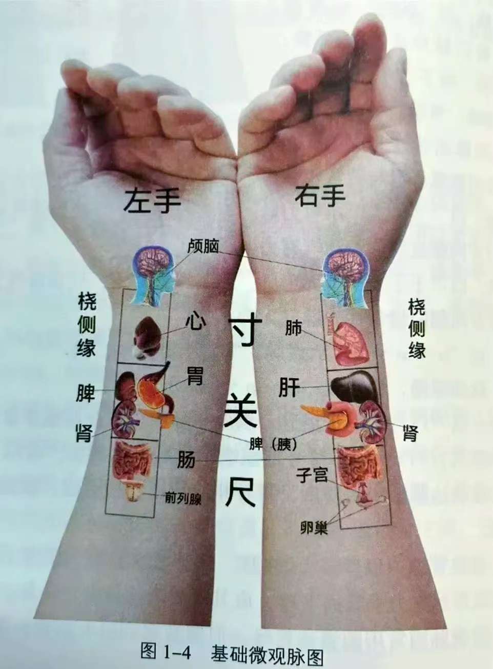 微信图片_20250520081825.jpg