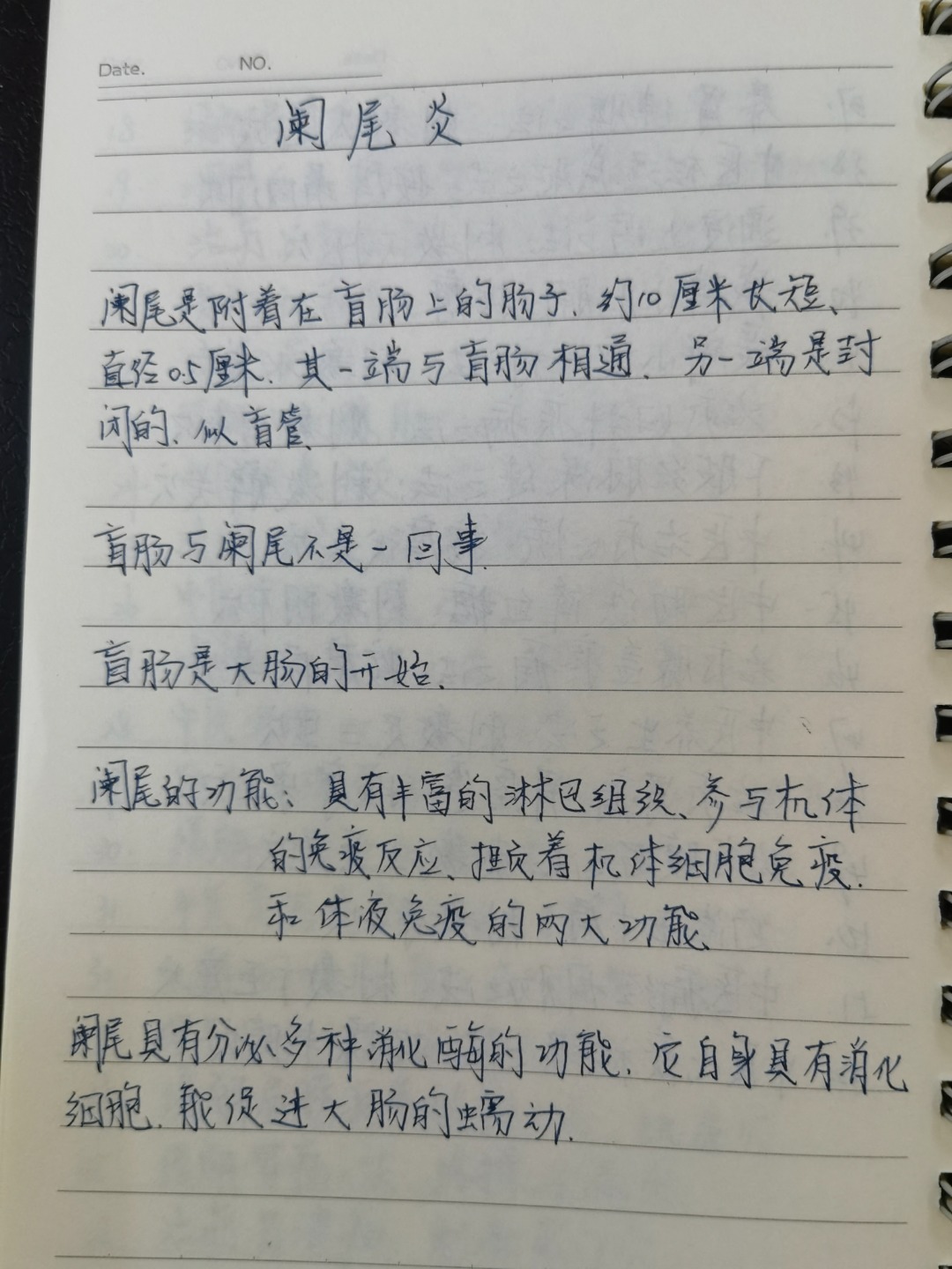 1757921982658.jpg