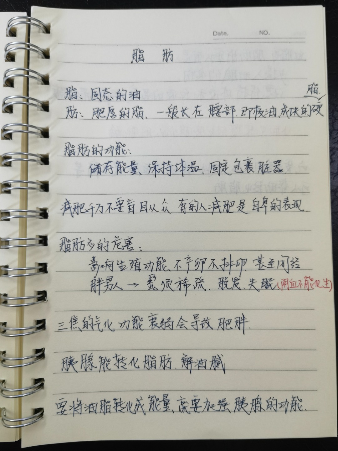 1758593491094.jpg